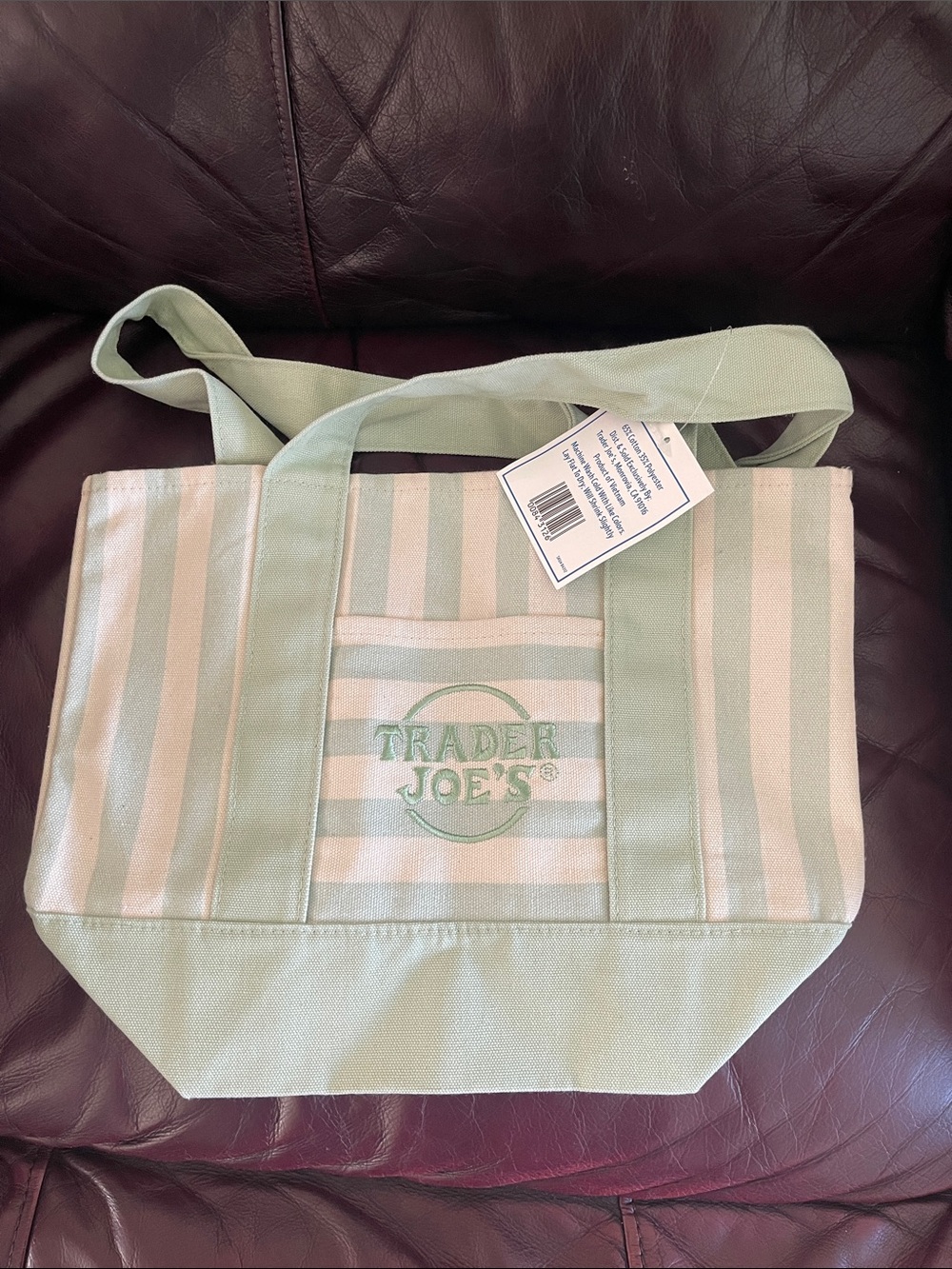 Trader Joe's Mint Stripe Canvas Tote Bag